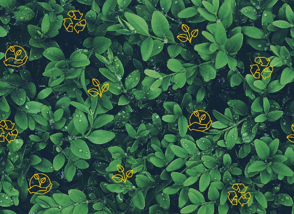 How to Cut Carbon Footprint via Printing Globally How to Cut Carbon Footprint via Printing Globally